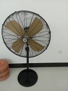 fan