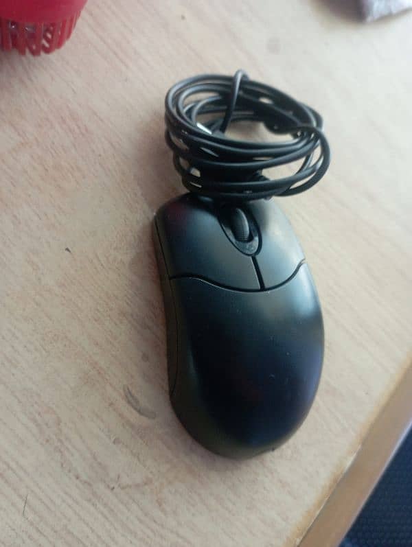 mouse 1