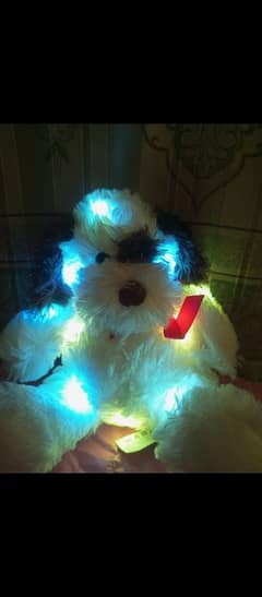 teddy bear with 7 different LED light