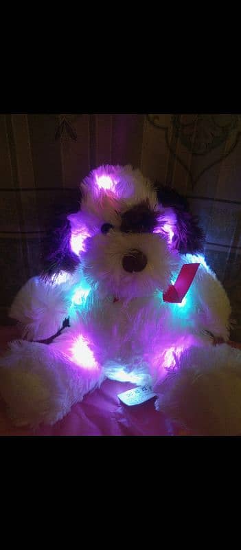 teddy bear with 7 different LED light 3