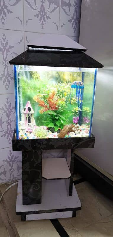 Aquarium With Air Diffuser With all accessories 1