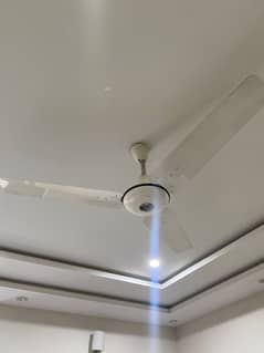 Ceiling Fan Pak Fan