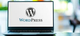 WordPress website & woocommerce store