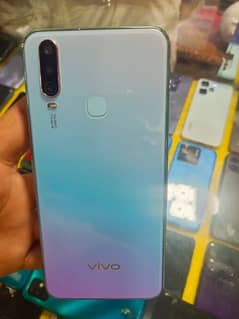 Vivo