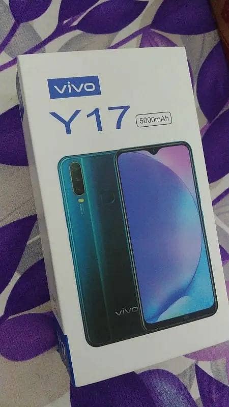 Vivo Y17 4