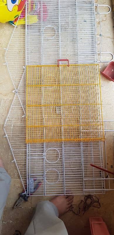 Birds cage 24 by 30 inch 3