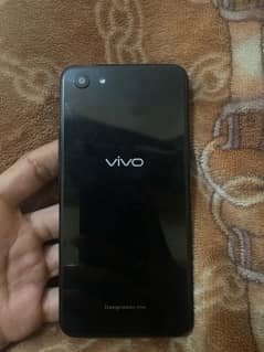 vivo