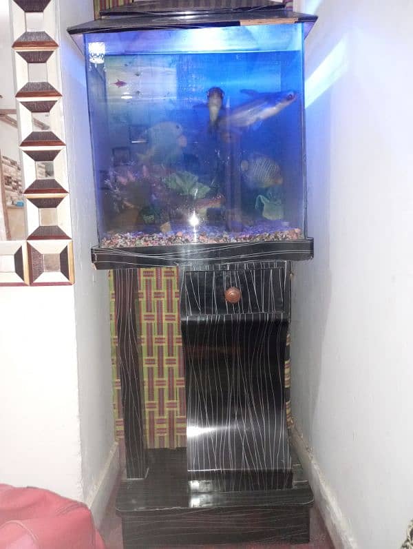 Fish Aquarium Cheap Rate 0