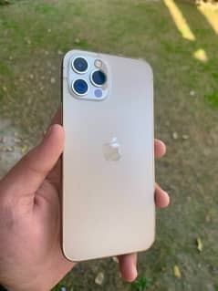 IPhone 12pro (PTA approved )