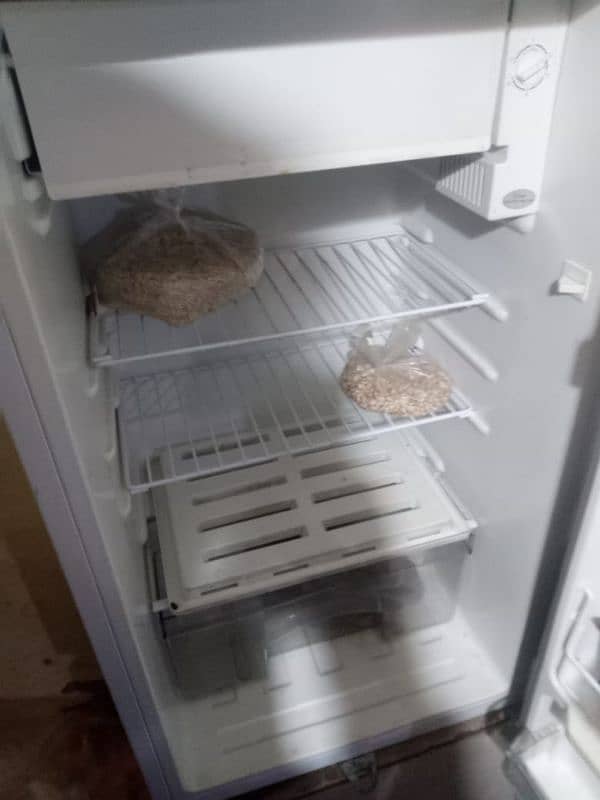 bed size fridge 2