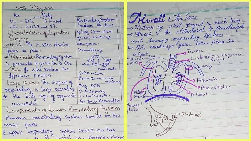 Biology Chemistry Physics Practical 1