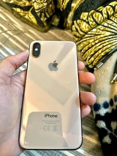 iPhone XS Dual Sim PTA approve