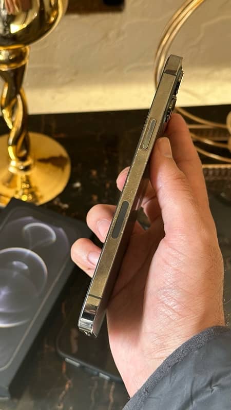 iPhone 12 Pro Max - Total Genuine 4