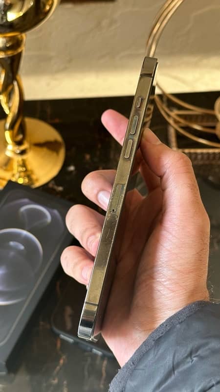 iPhone 12 Pro Max - Total Genuine 5