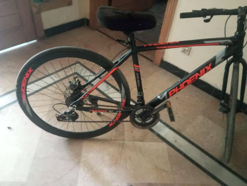 phonix road bike 2