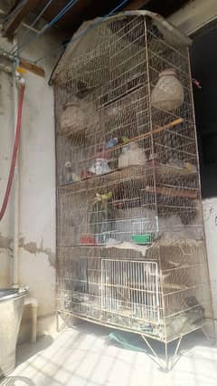 large size cage 4 floor big space