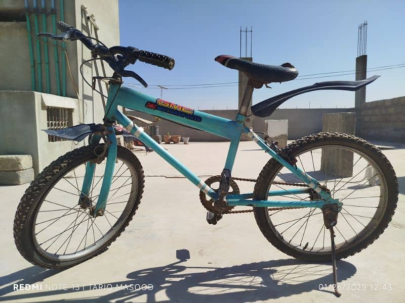 Medium Size Bicycle 1