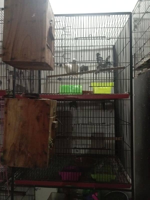 2 Portion Cage For sale 0