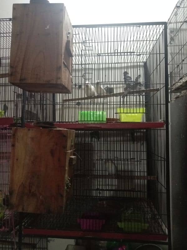 2 Portion Cage For sale 1