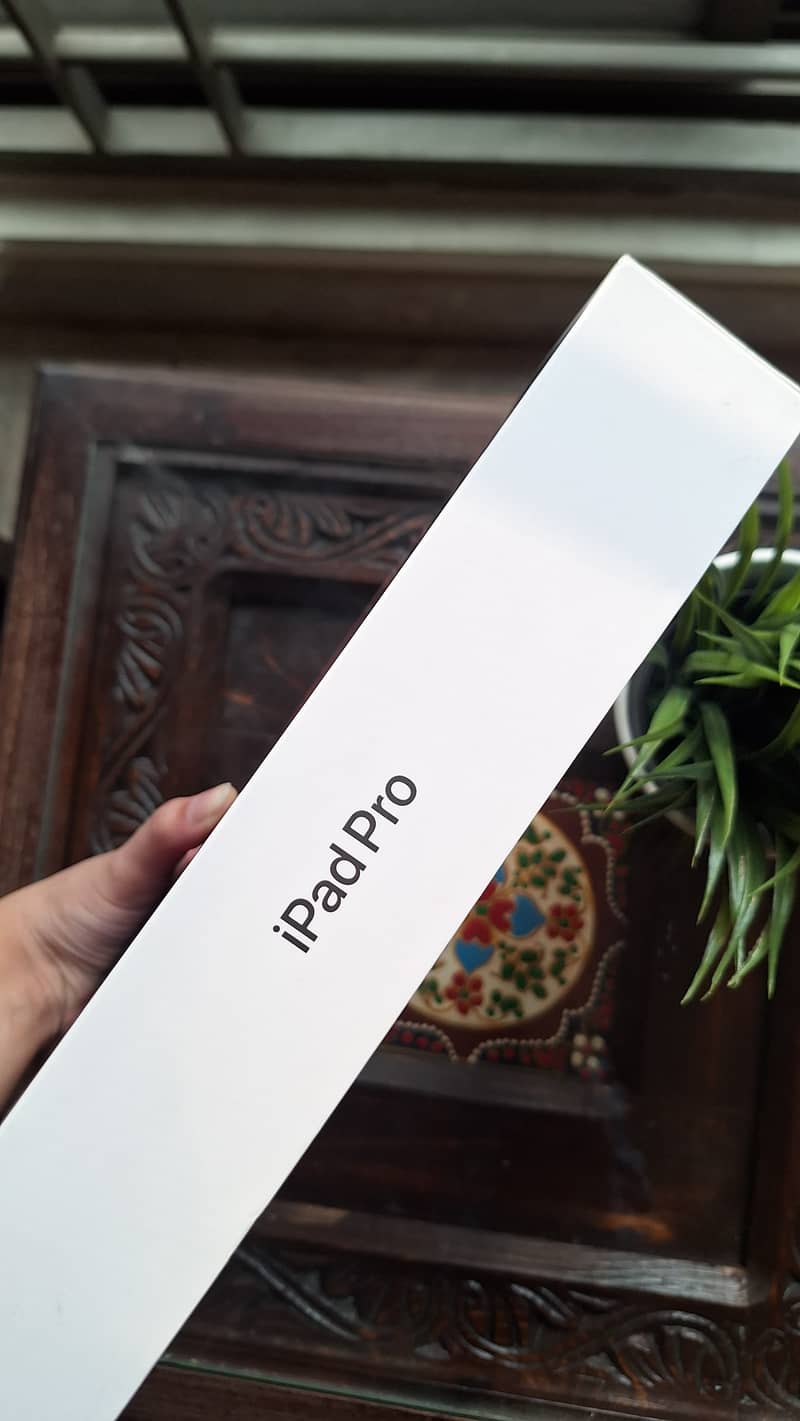 Ipad pro M1 256GB 5