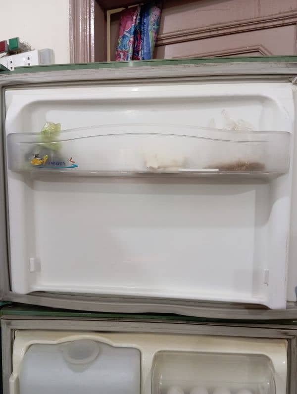 Pell frig refrigerator Full size 5