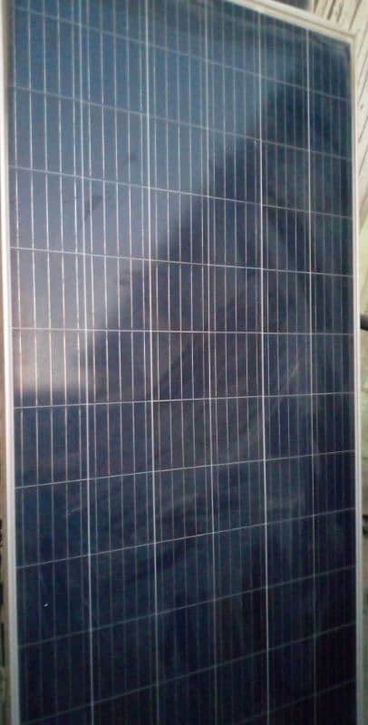 4 dong tang Solar plates 330w 1