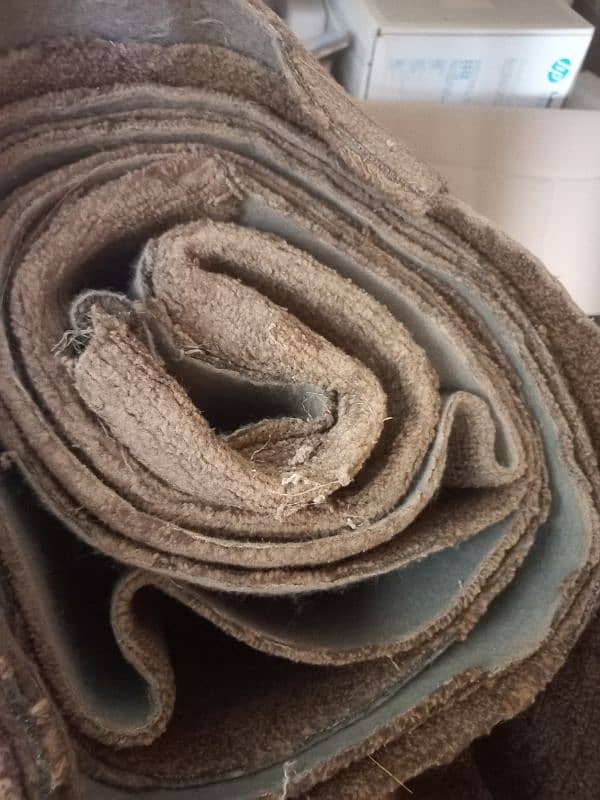 brown carpet for sale 2