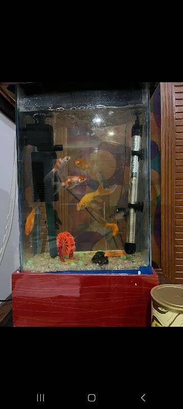 aquarium with fishes (only message) paise kam hojayn ge 1