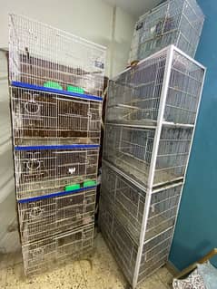 love bird cages for sale 33000/- for all