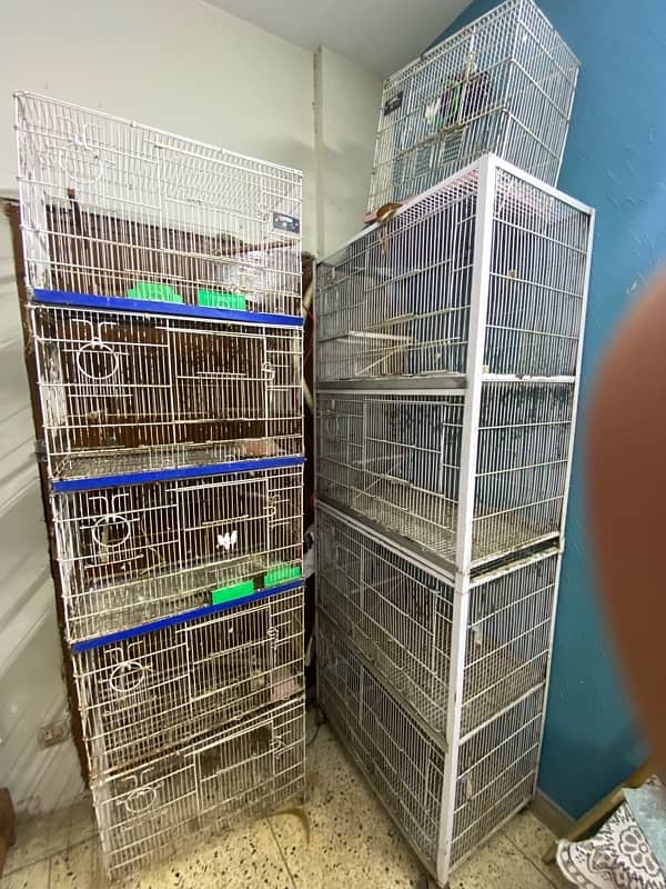 love bird cages for sale 33000/- for all 2