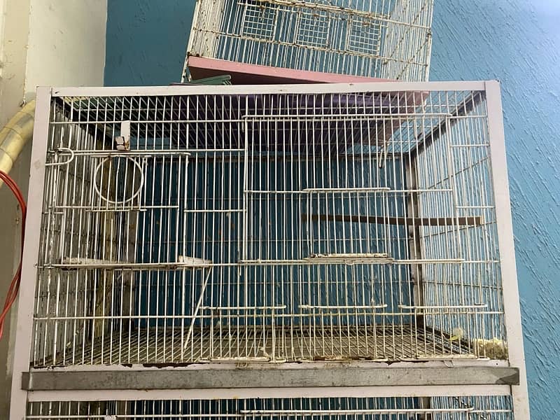 love bird cages for sale 33000/- for all 3