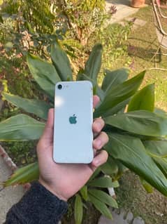 iphone SE 2020 white jv