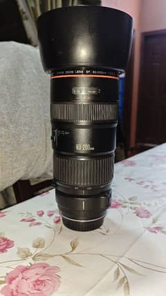 Canon 80 - 200mm F2.8L