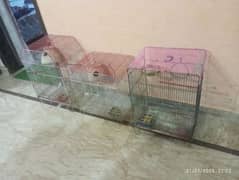 Cages for sale