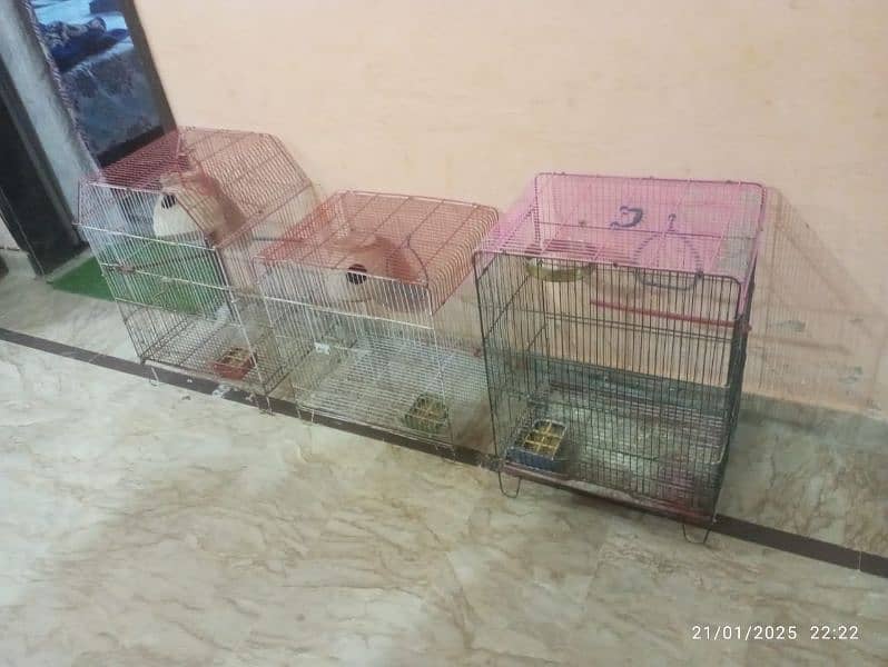 Cages for sale 0