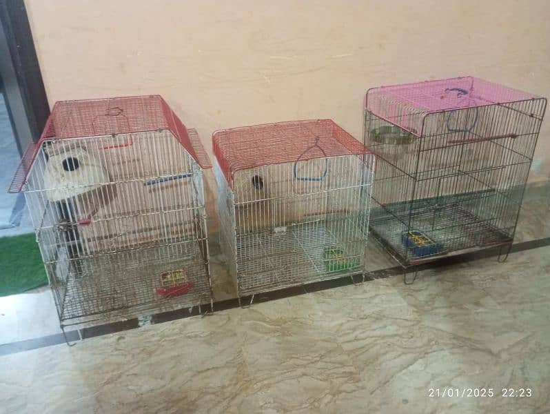 Cages for sale 1