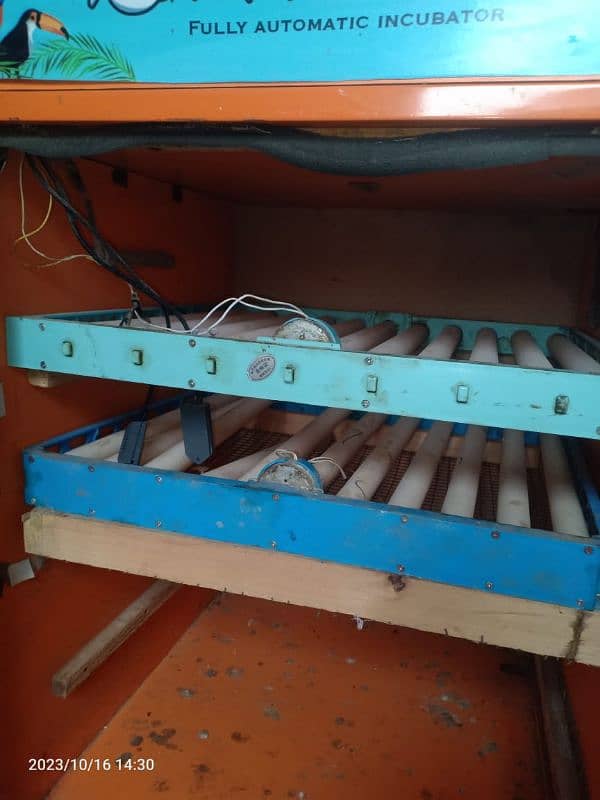 Automatic incubator 5