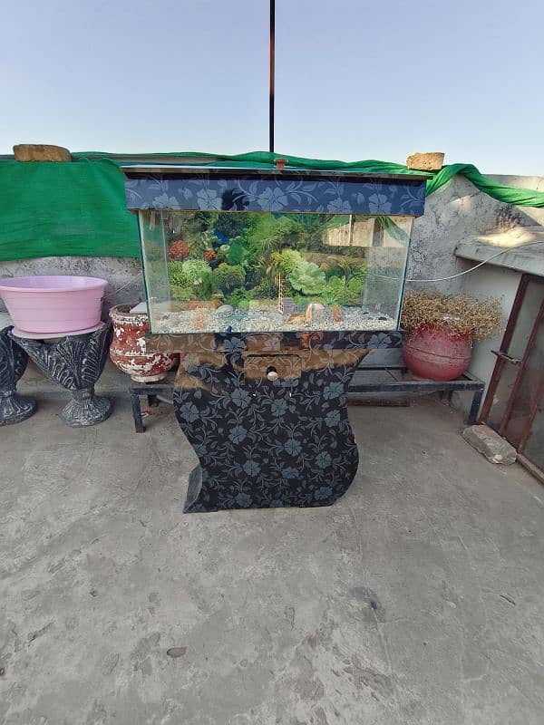 Aquarium for sale 10k price 0