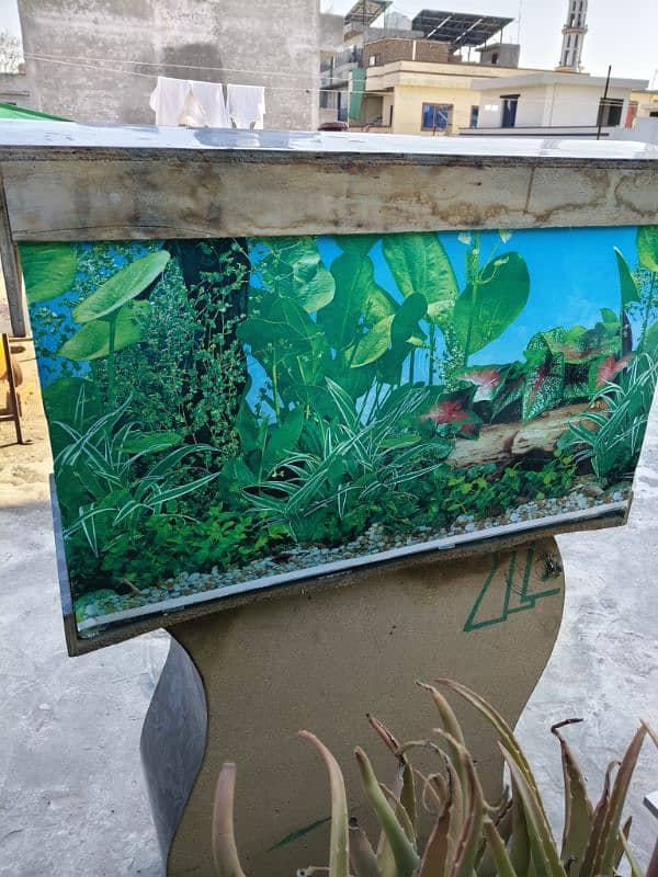 Aquarium for sale 10k price 3