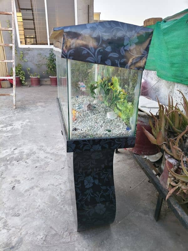 Aquarium for sale 10k price 4