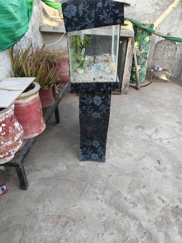 Aquarium for sale 10k price 5