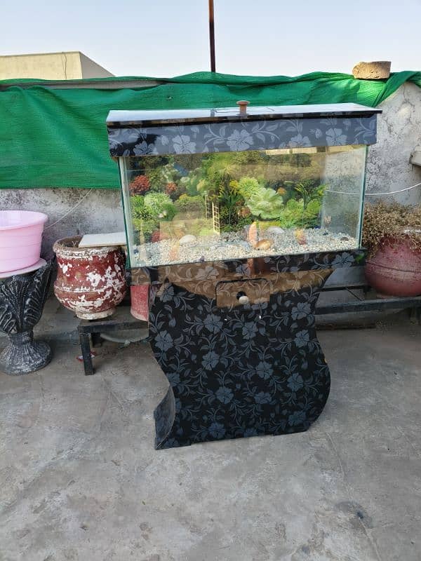 Aquarium for sale 10k price 6