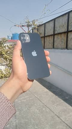 IPHONE 12