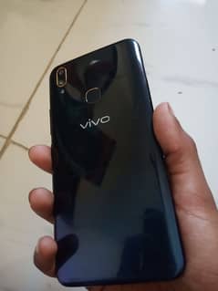 vivo