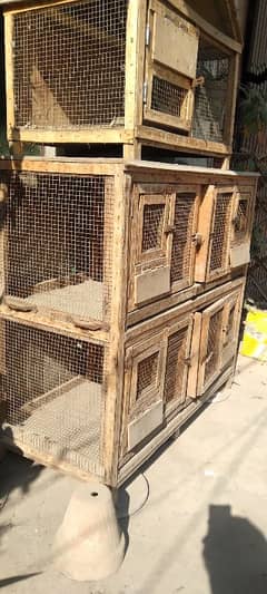 wood cages for hen birds love birds parrots