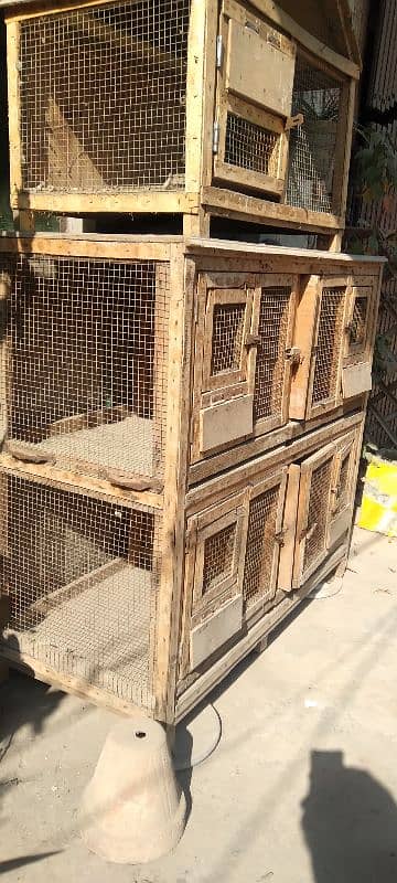 wood cages for hen birds love birds parrots 0