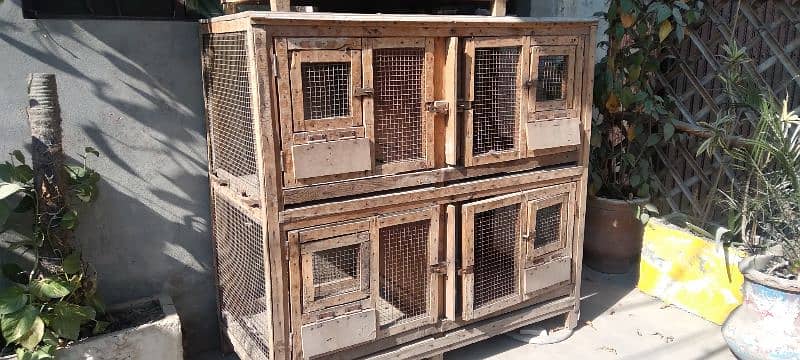 wood cages for hen birds love birds parrots 3