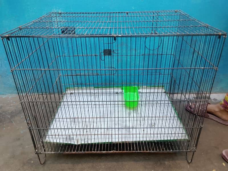 parrots cage 2