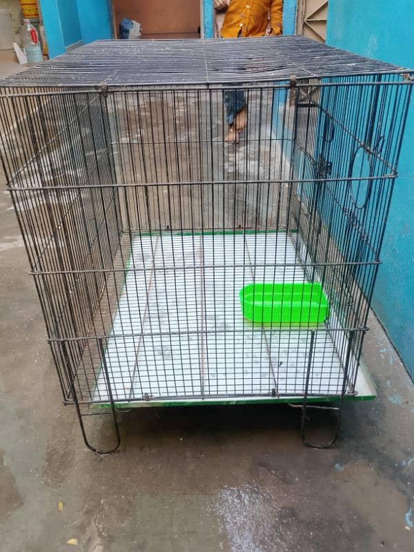 parrots cage 7