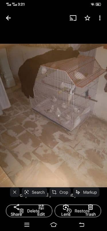 cage for sale 2